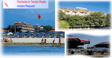 hotel_grandhotel.gif (57097 byte)